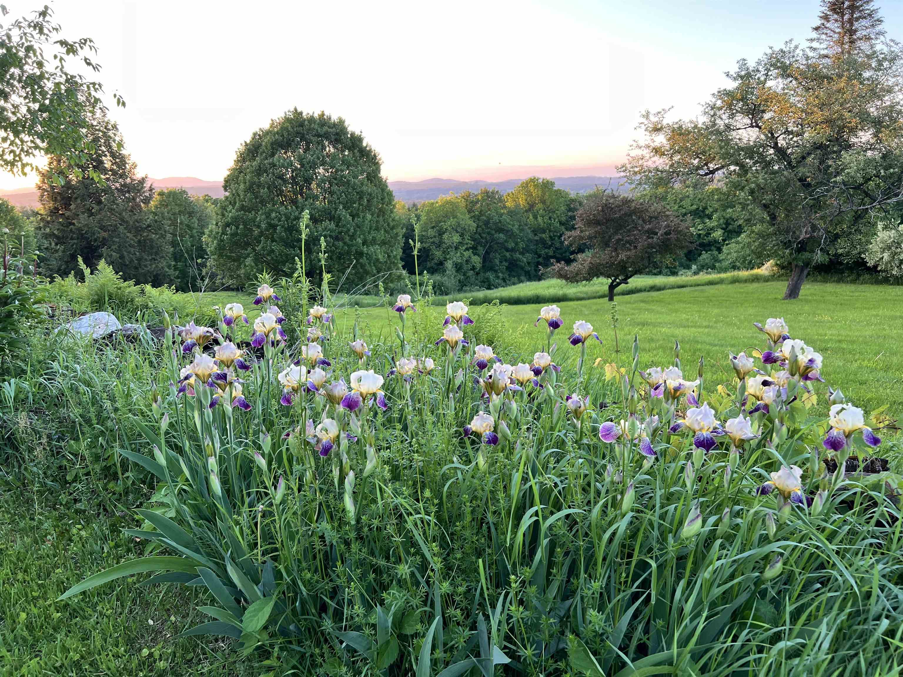 484 East Montpelier Road Barre Town, VT 05641 - Photo 9 of 60