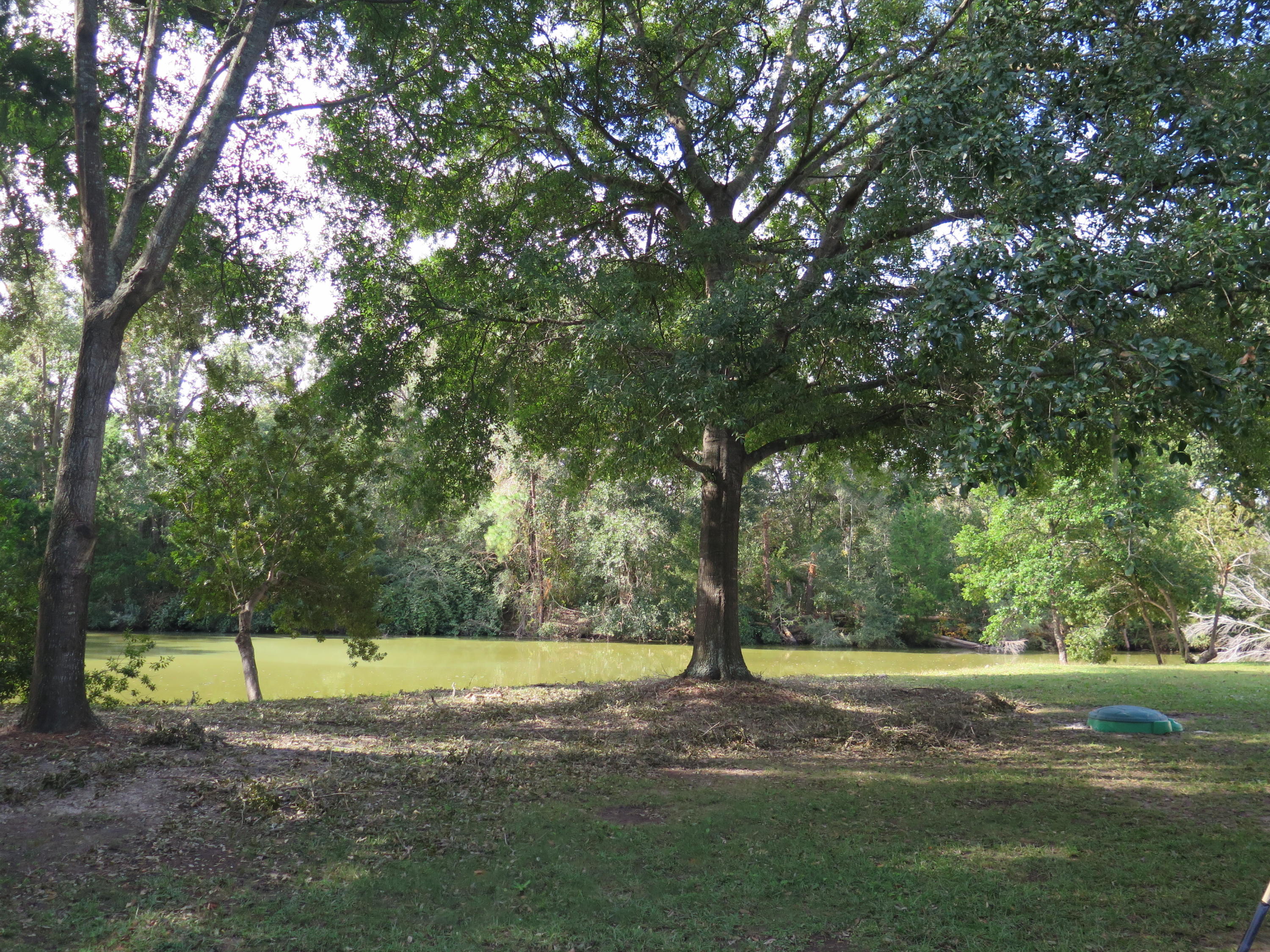 1509 Oak Landing Road Mount Pleasant, SC 29464 - Photo 7 of 47 IMG_2350