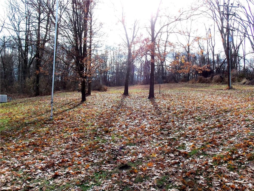 1680 Reissing Road McDonald, PA 15057 - Photo 32 of 39 a fire hydrant in middle of the forest