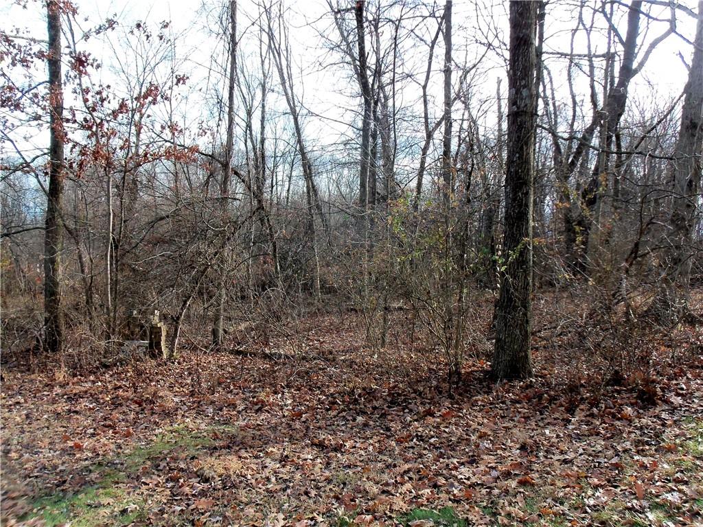 1680 Reissing Road McDonald, PA 15057 - Photo 36 of 39 a view of a forest filled with trees