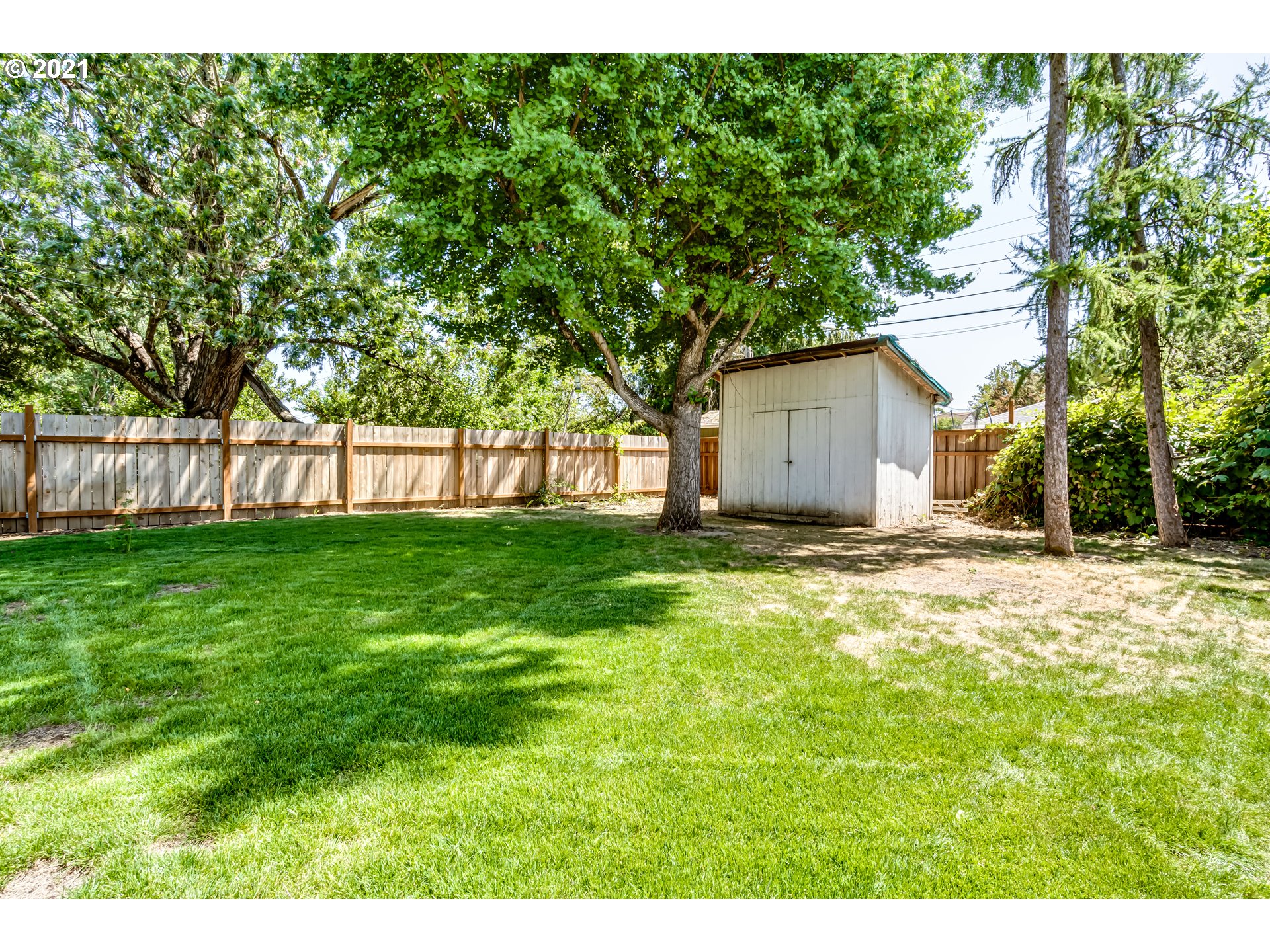 1679 J Street Springfield, OR 97477 - Photo 6 of 20