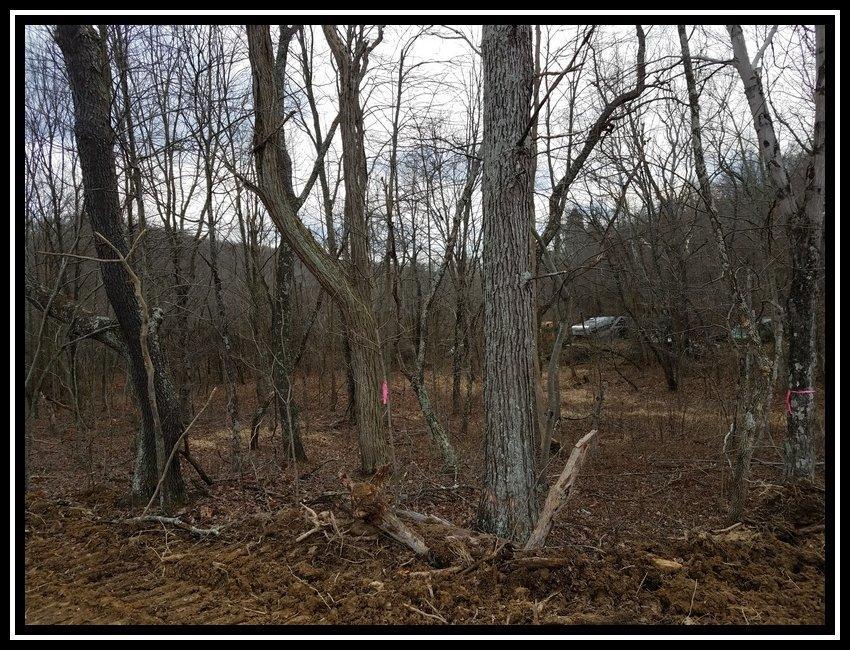 700 George Hollow Road Waverly, OH 45690 - Photo 3 of 15