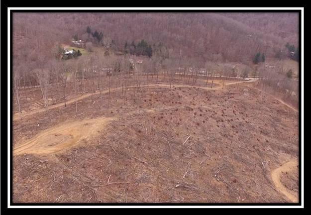 700 George Hollow Road Waverly, OH 45690 - Photo 8 of 15