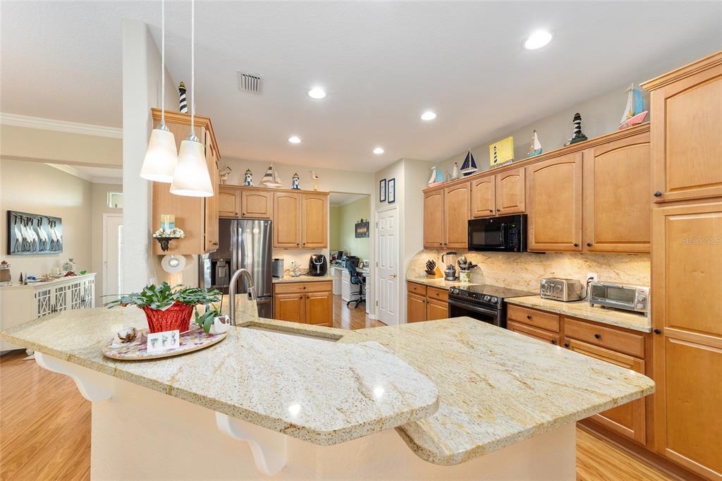 8723 Southeast 130th Loop Summerfield, FL 34491 - Photo 15 of 78