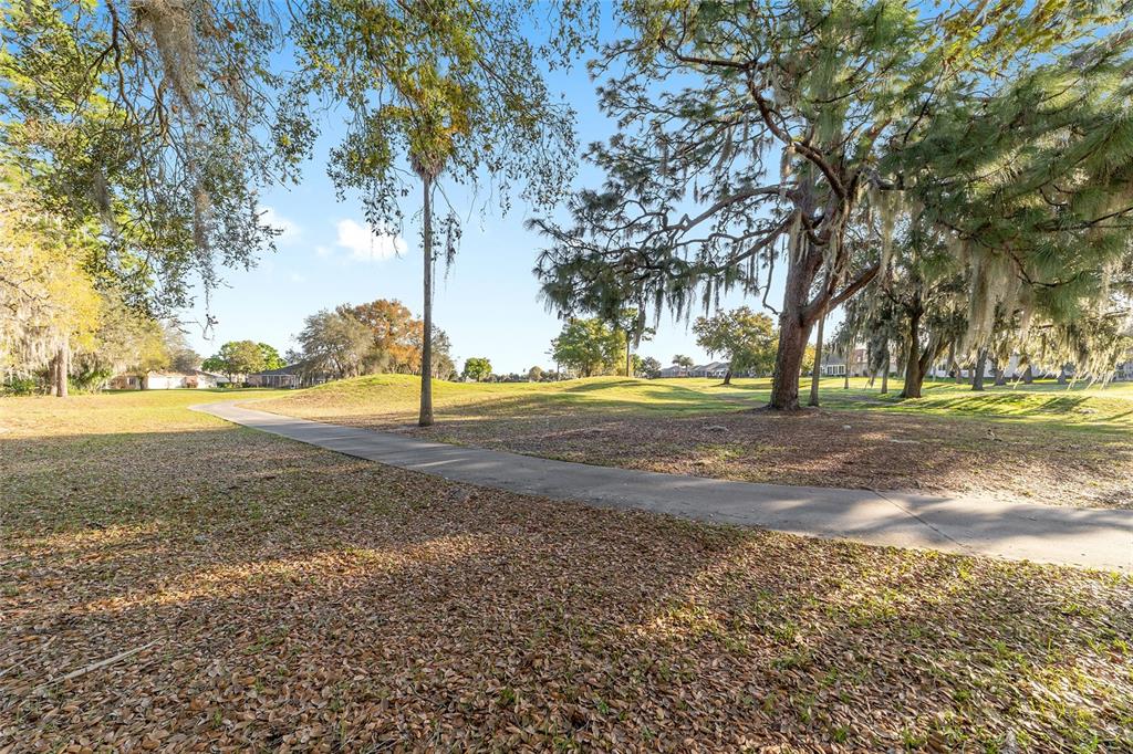 8723 Southeast 130th Loop Summerfield, FL 34491 - Photo 42 of 78