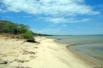 7852 Port Austin Road Pigeon, MI 48755 - Photo 12 of 16 7852PortAustinBeachSouth
