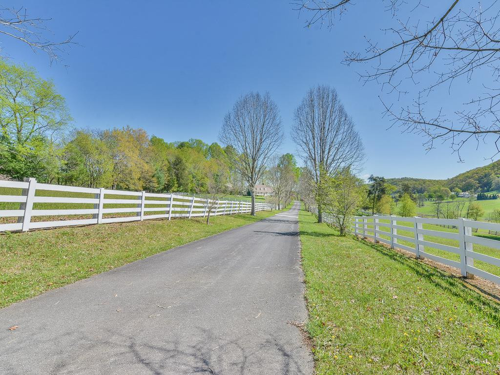 133 Millwood Road Bristol, TN 37620 - Photo 35 of 36 treelined drive