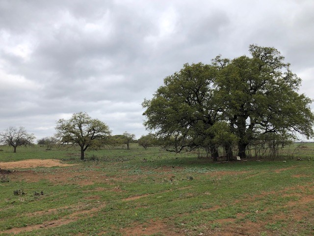 Na Old Pontotoc Road Mason, TX 76856 - Photo 2 of 4 Gallery Image 2