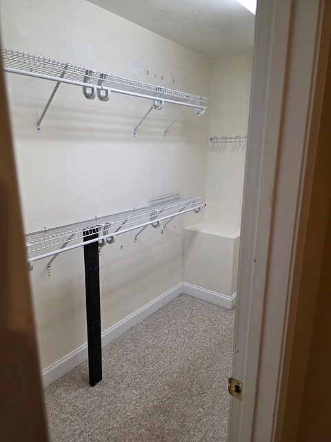 905 North Crestview Drive Seneca, SC 29678 - Photo 9 of 16 This spacious closet offers organized storage solutions for all your belongings.