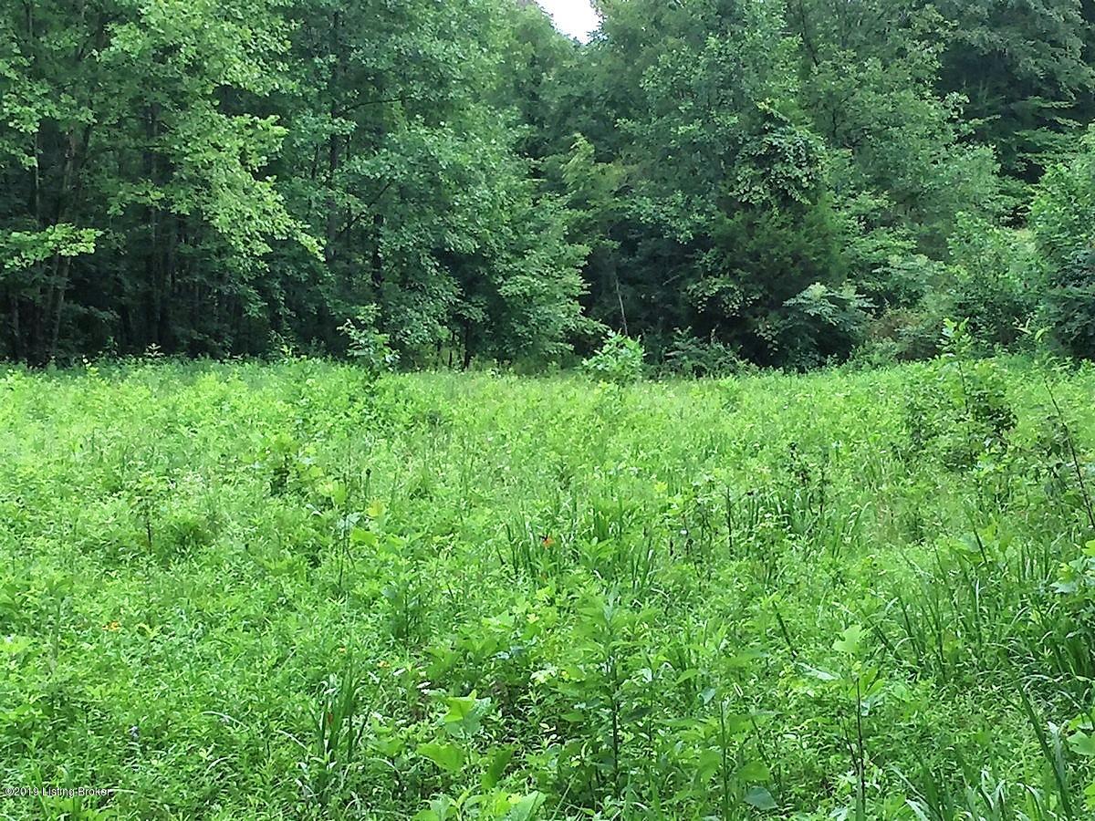 386 Salem Church Road Bee Spring, KY 42207 - Photo 45 of 64 field 19