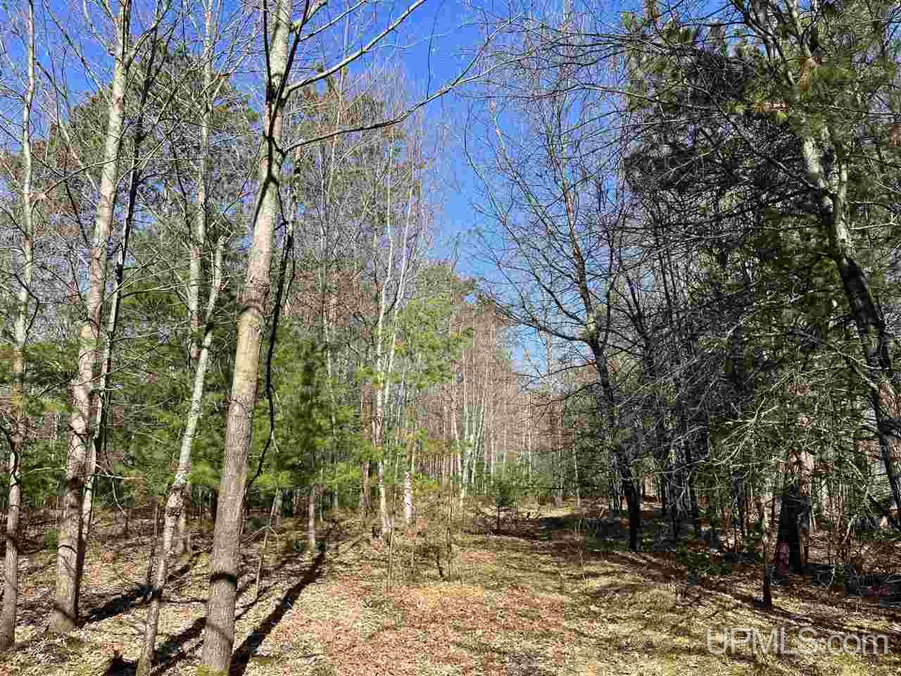 70 Old Highway 70 Road Minocqua, WI 54548 - Photo 7 of 11