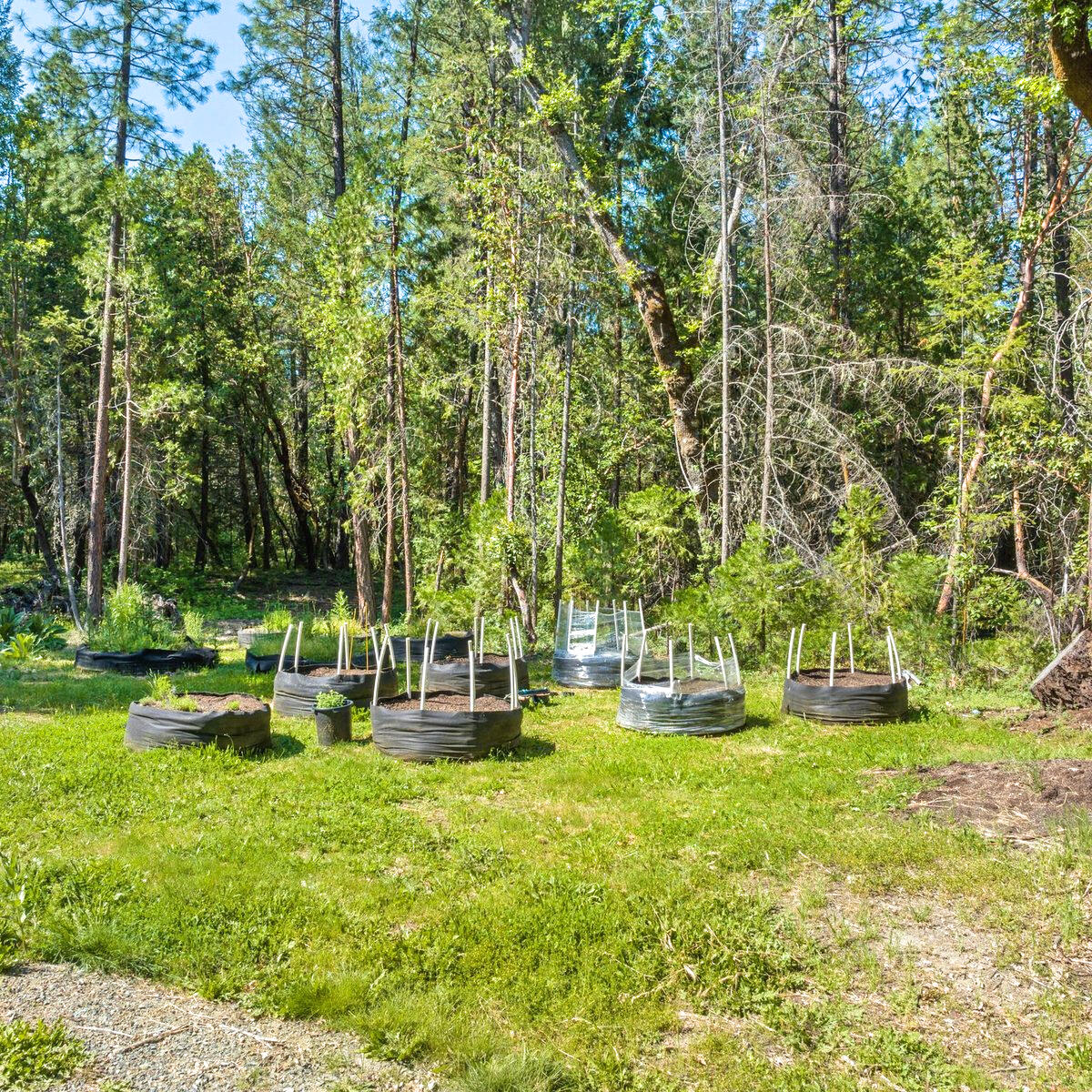 824 Tetherow Road Williams, OR 97544 - Photo 17 of 20 garden