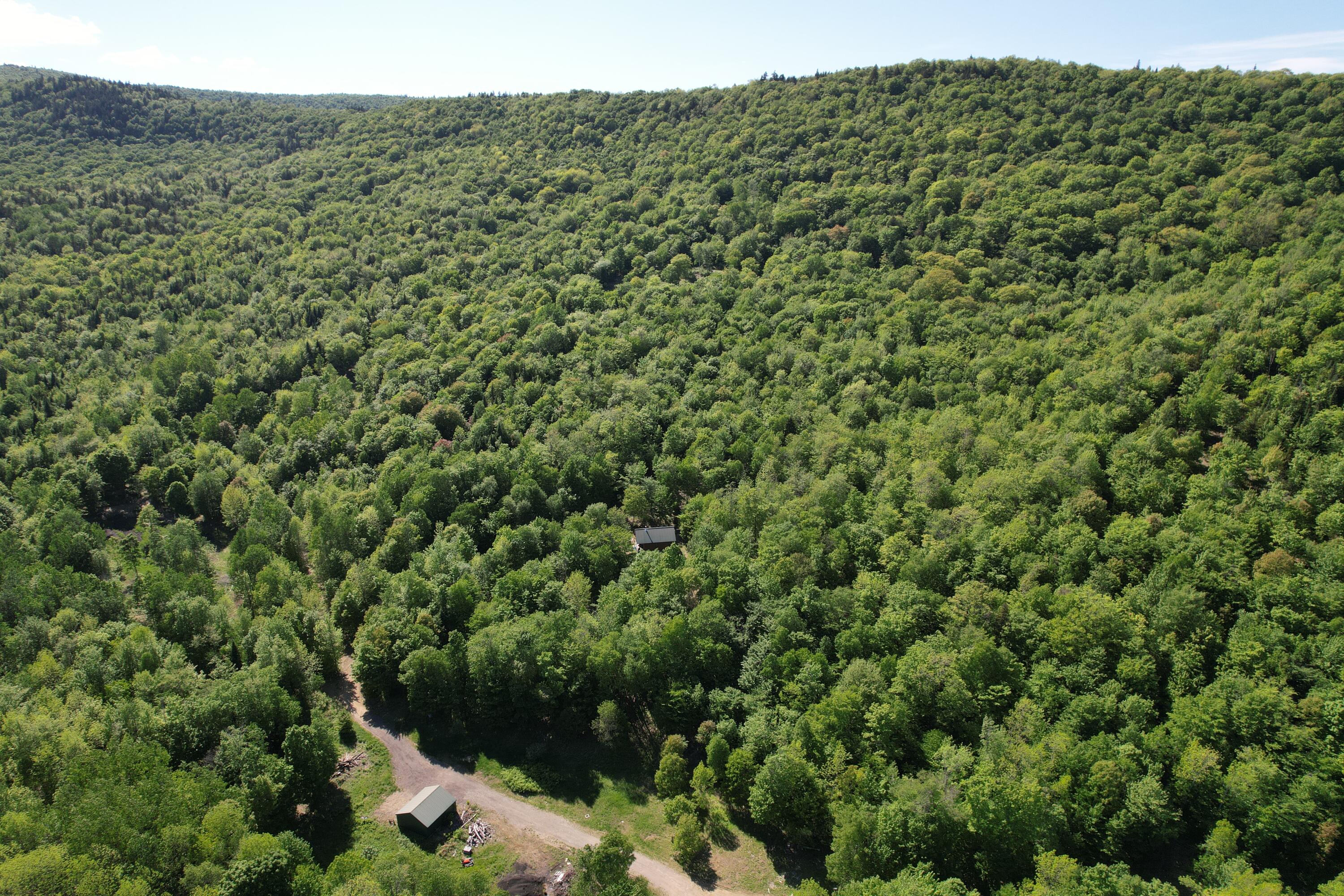 233 Weld Road Phillips, ME 04966 - Photo 5 of 38 DJI_0794