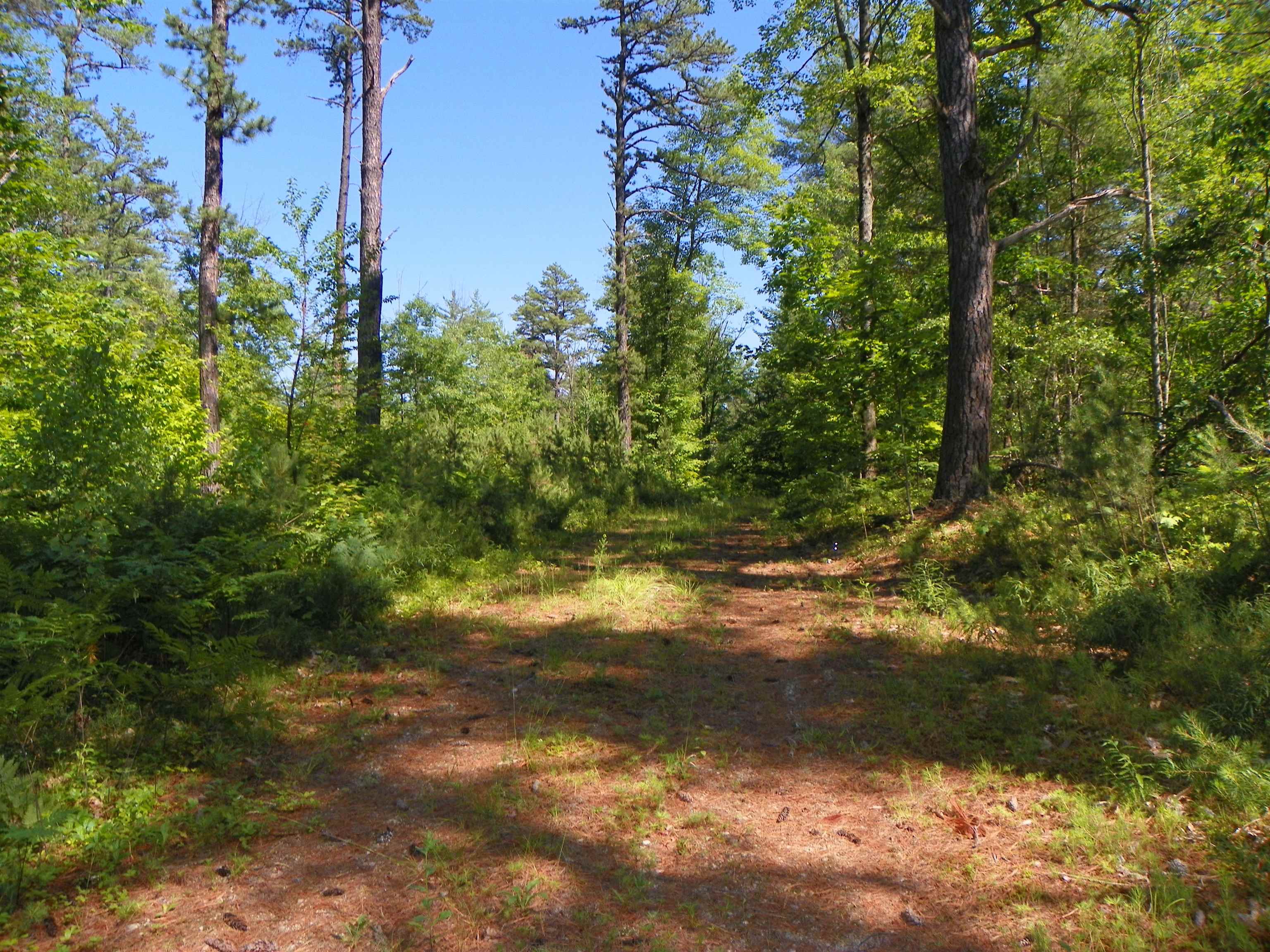 109 Clough Road Effingham, NH 03882 - Photo 4 of 12