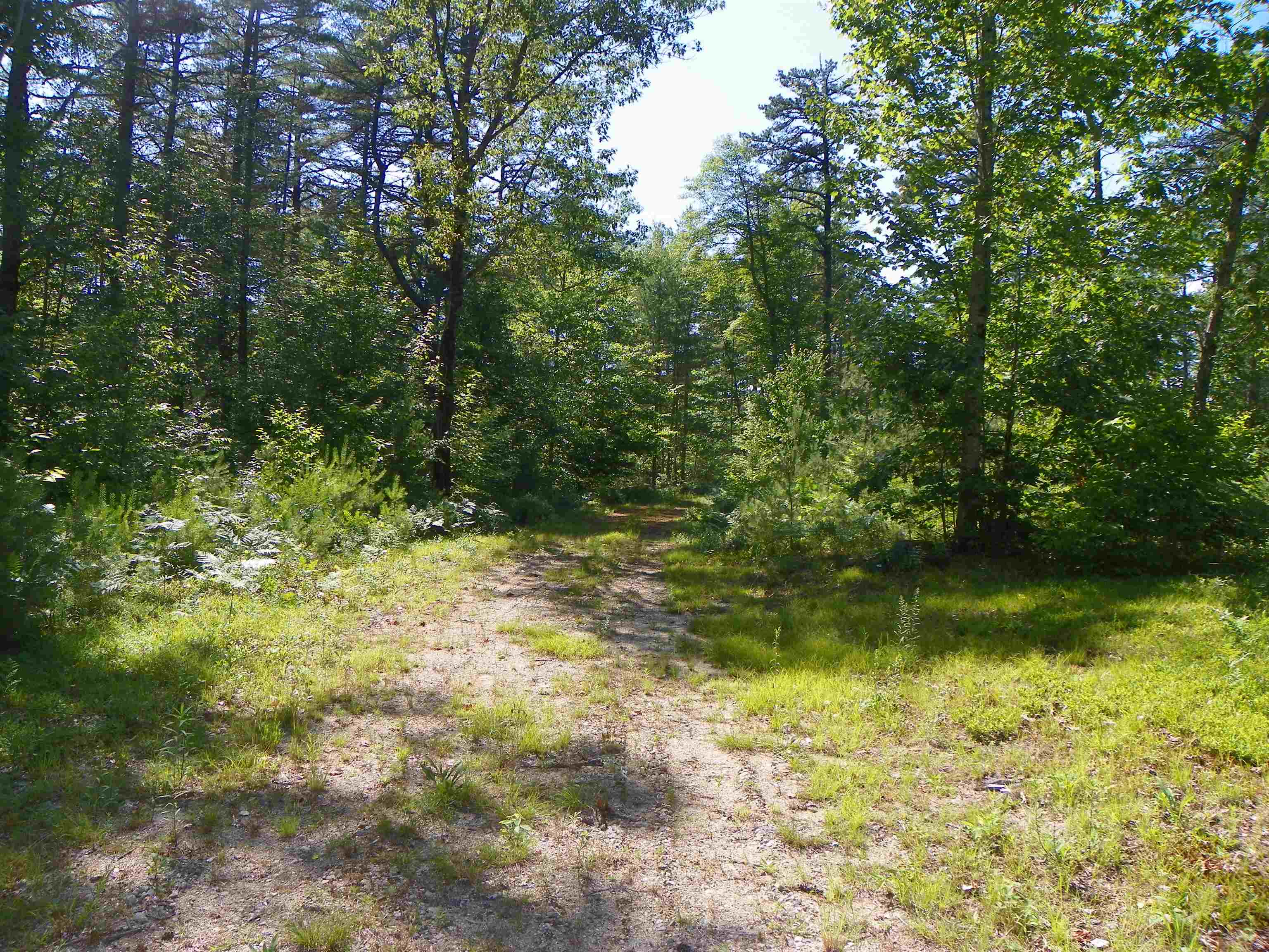 109 Clough Road Effingham, NH 03882 - Photo 8 of 12