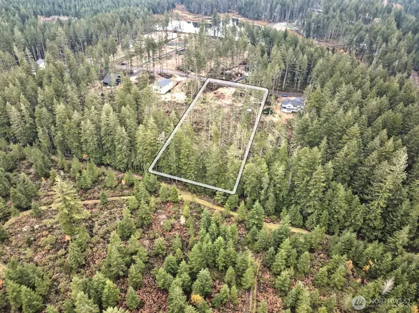 a view of a forest with a yard and trees