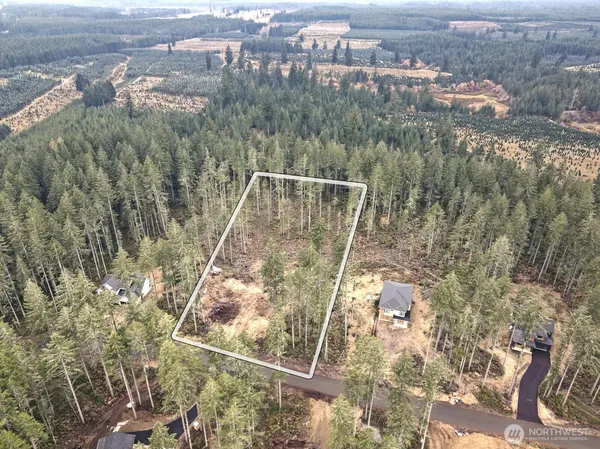 a view of a forest from a balcony