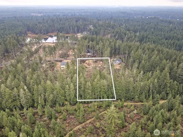 a view of a forest from a yard