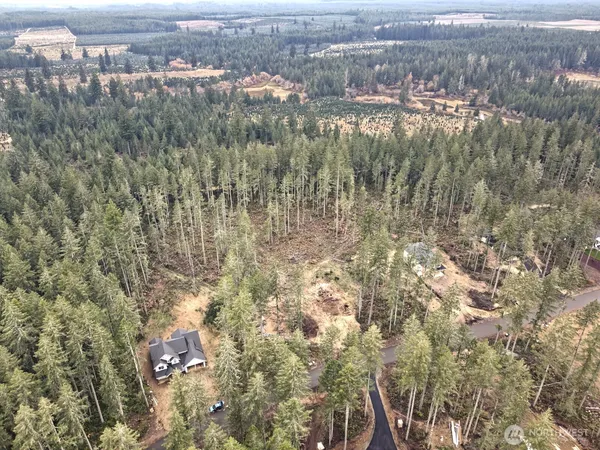 a view of a forest with a yard