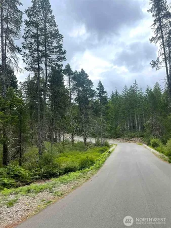 a view of a road with a yard in back