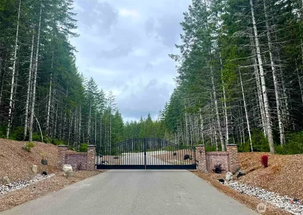 a lake view with lots of trees