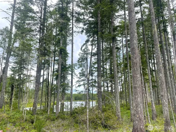 a view of a road with a building in the background