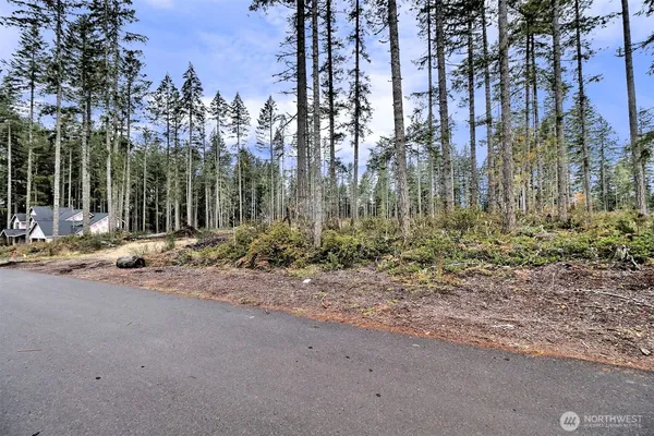 a view of a forest with trees in the background