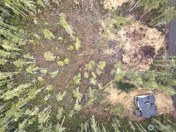 a view of a forest with a yard
