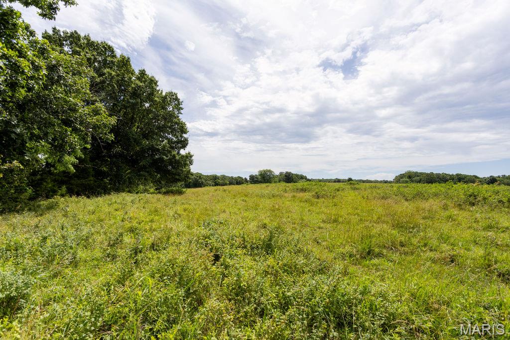 30-ac South 220th Road Half Way, MO 65663 - Photo 23 of 49