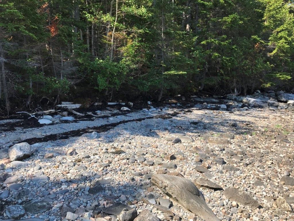 0 Turner Road Seal Cove, ME 04674 - Photo 31 of 41 Photo