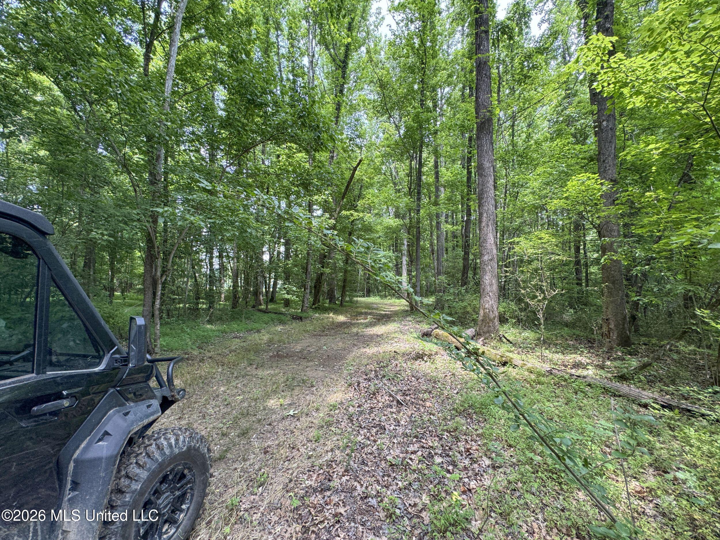 884 Avant Road Crenshaw, MS 38621 - Photo 132 of 154 6dbyicr81