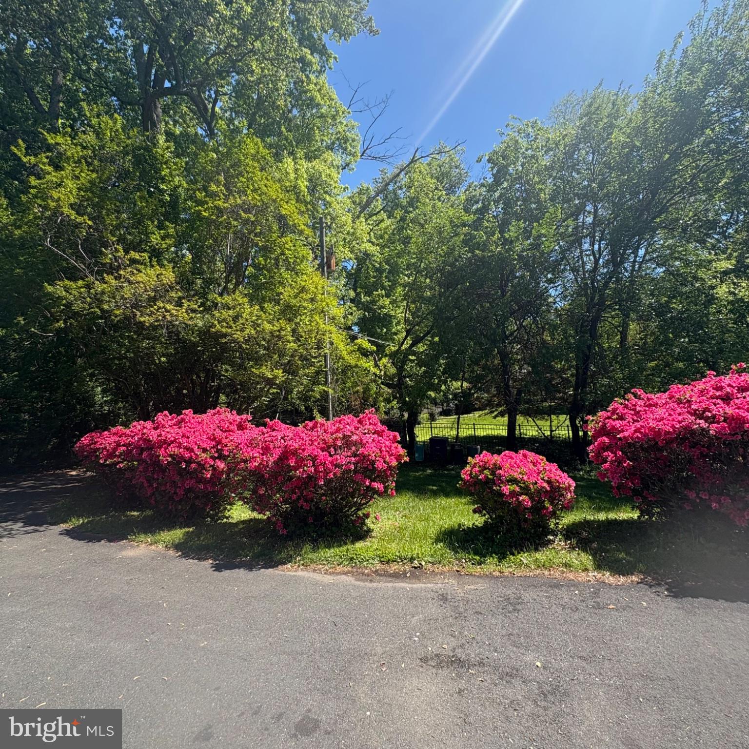 3502 Holly Road Annandale, VA 22003 - Photo 53 of 57 Vibrant blooms framing a serene path.