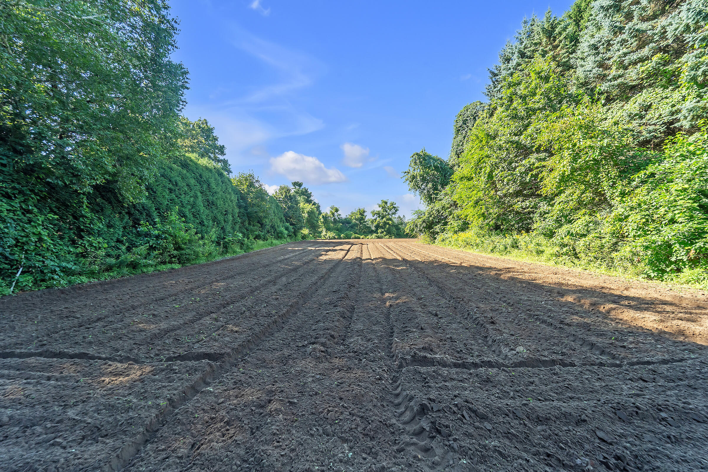332 4 Mile Road Caledonia, WI 53402 - Photo 12 of 25 DSC01039