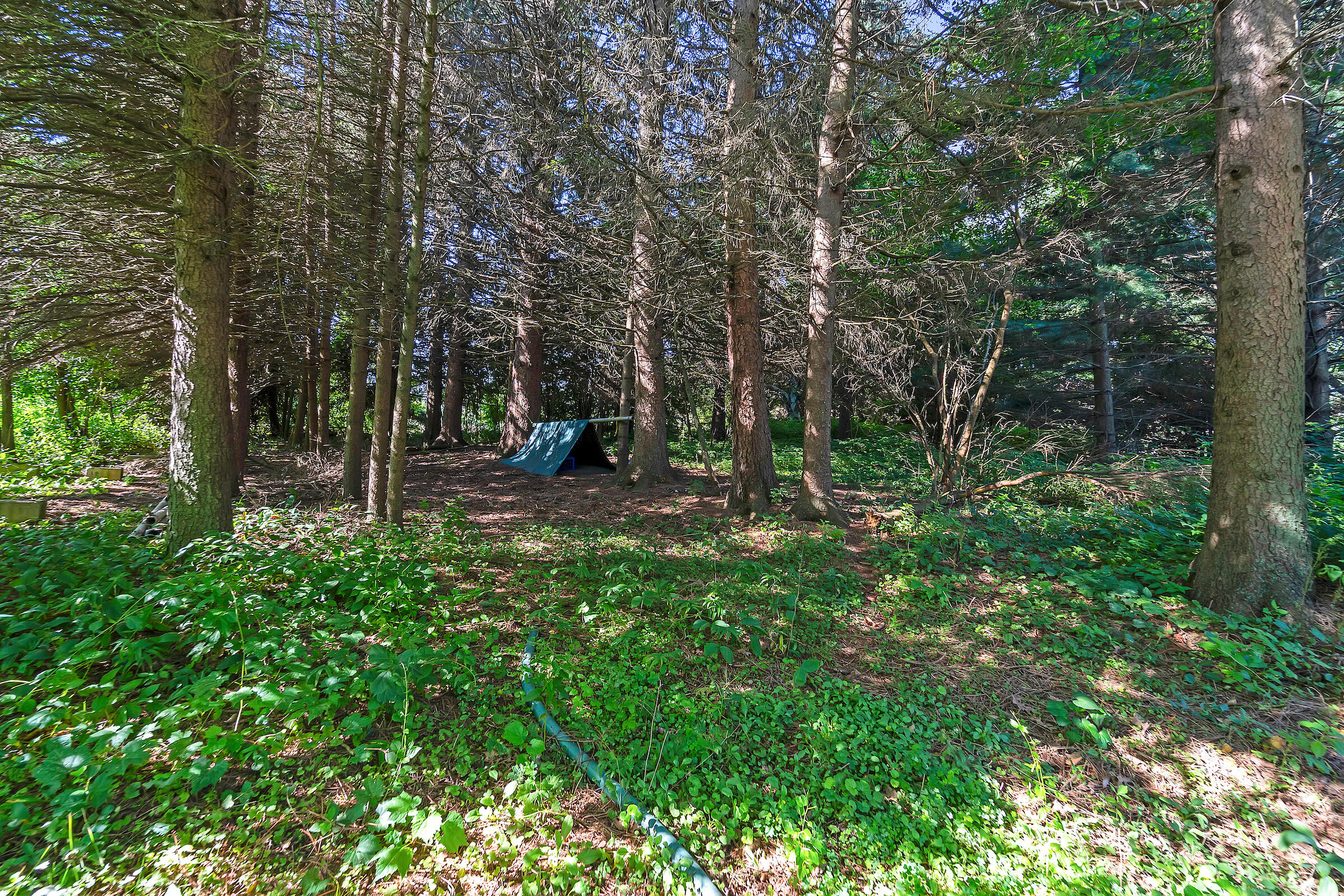 332 4 Mile Road Caledonia, WI 53402 - Photo 19 of 25 DSC01049