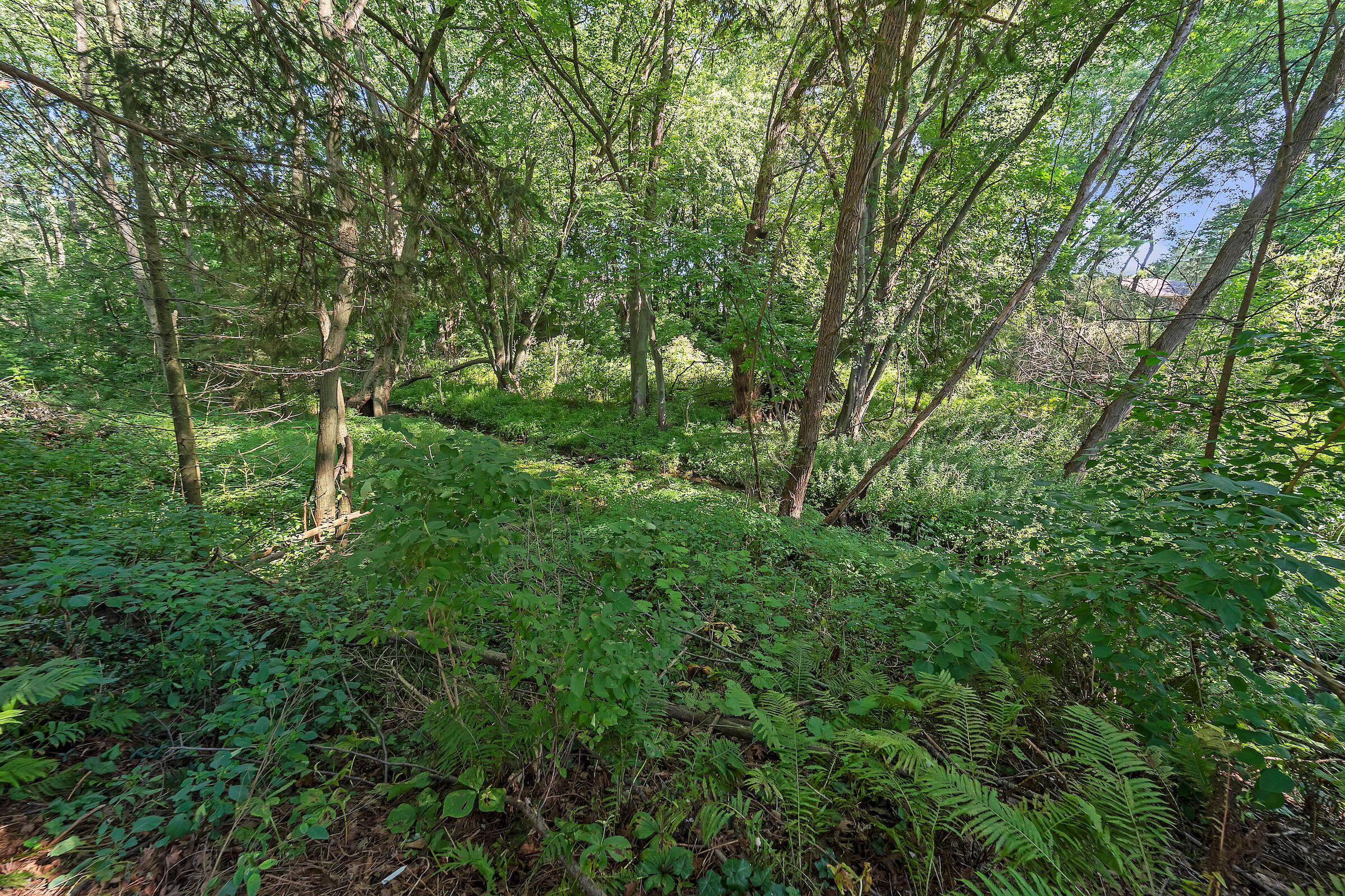 332 4 Mile Road Caledonia, WI 53402 - Photo 21 of 25 DSC01024