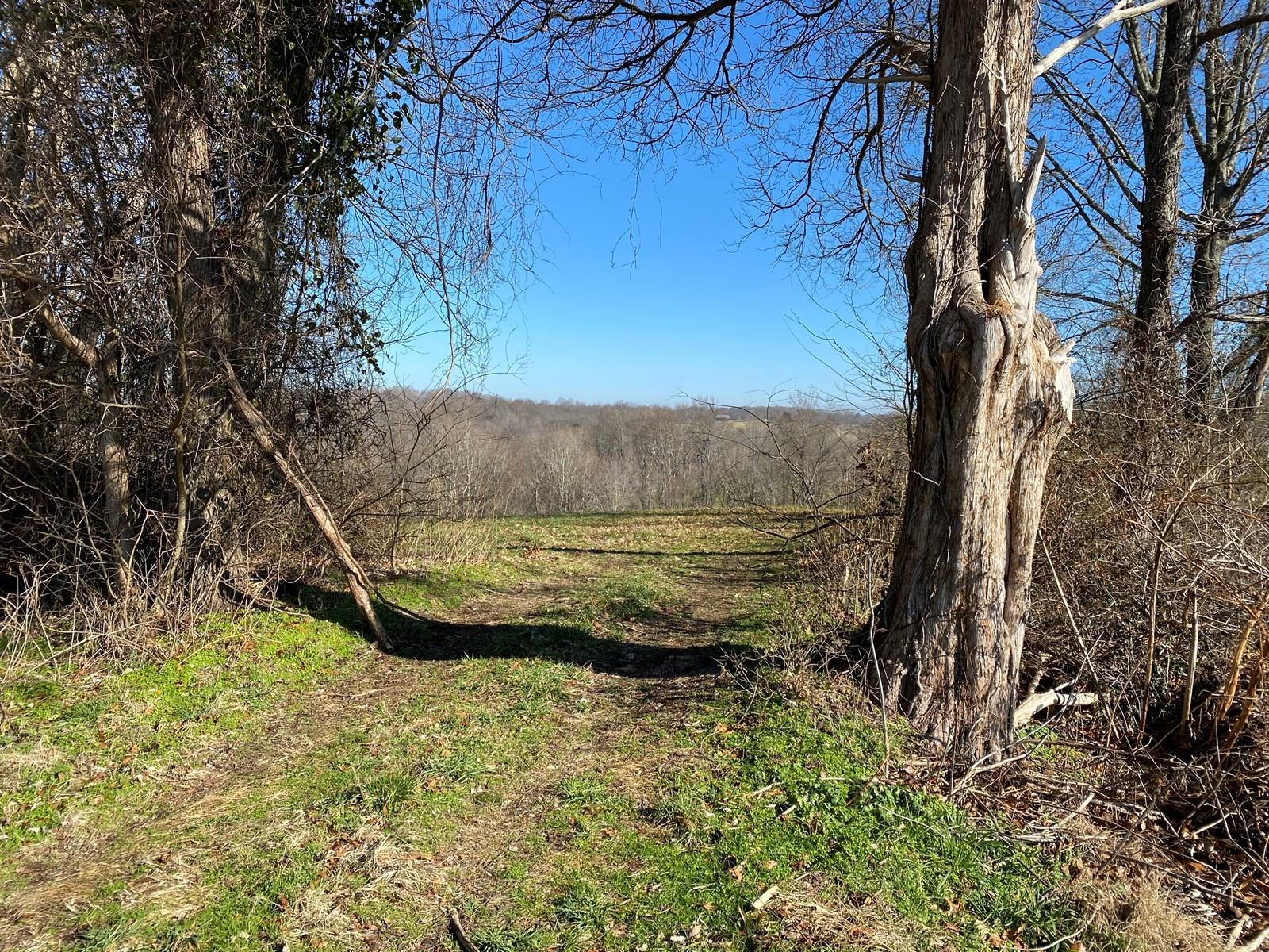 2812 Lettered Oak Road Albany, KY 42602 - Photo 5 of 19 1397.14