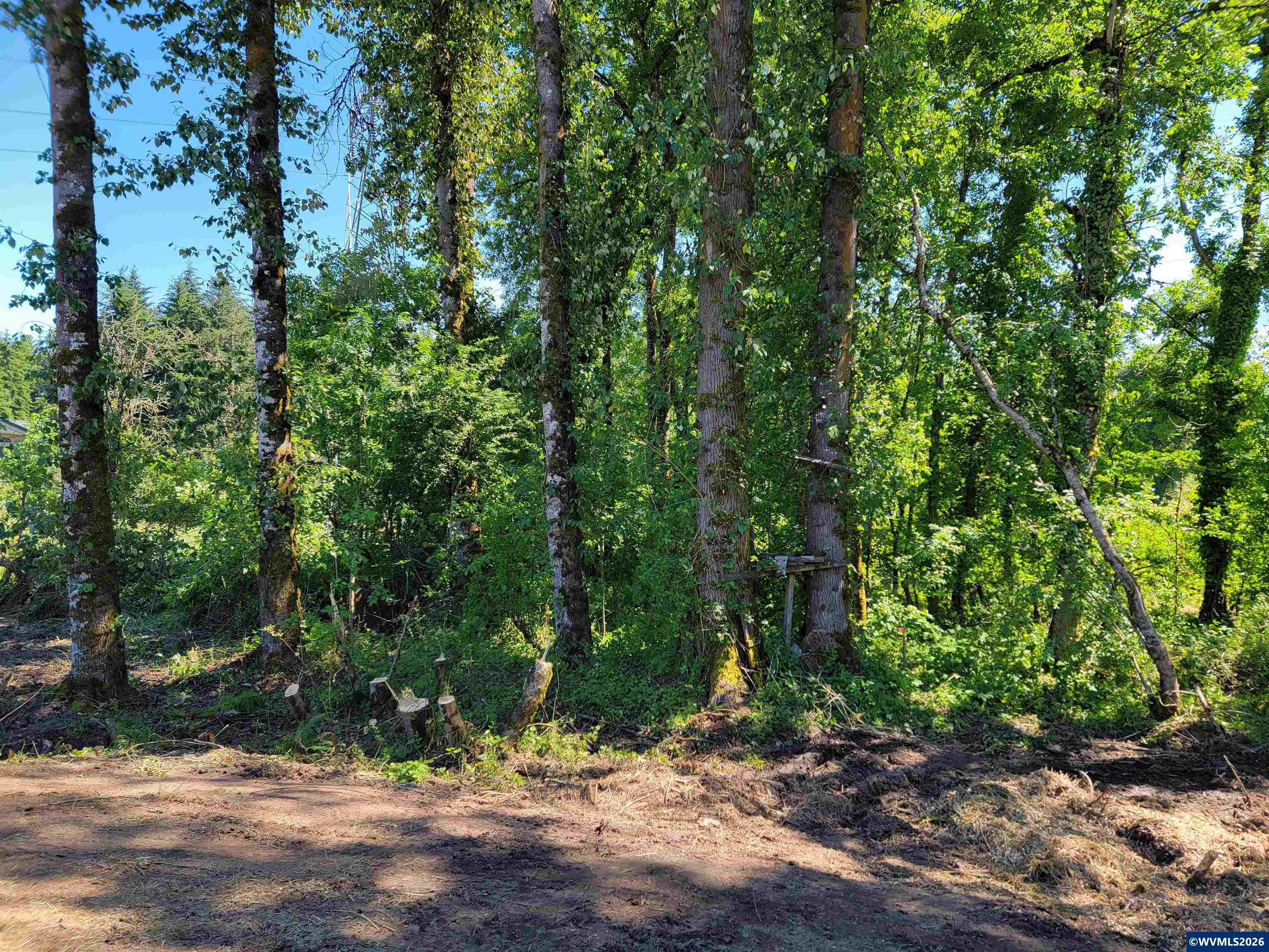 0 Oak Grove Albany, OR 97321 - Photo 4 of 30