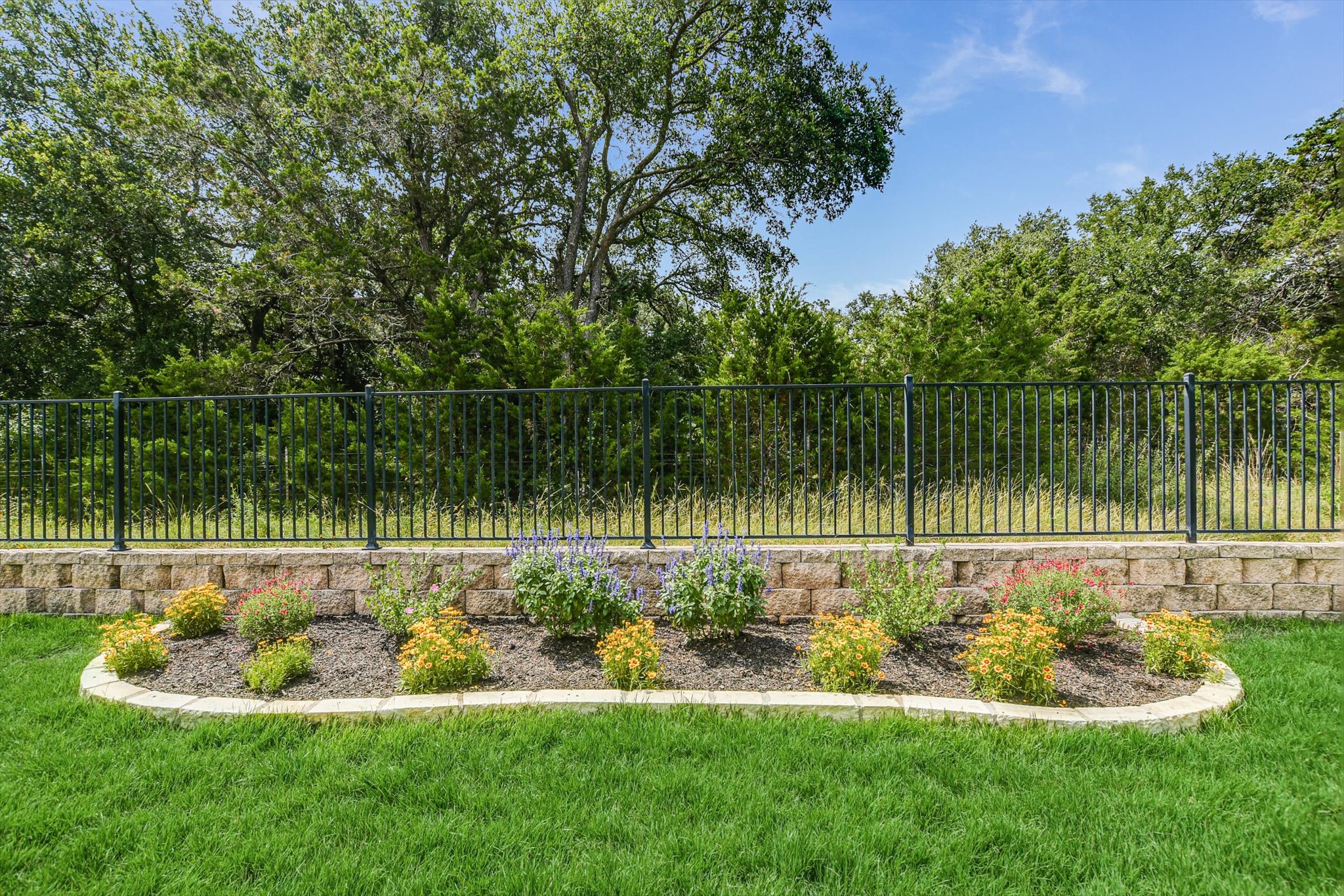 231 Hobby Street Georgetown, TX 78633 - Photo 28 of 29 A well-maintained yard offers lush green grass, a manicured flower bed, and a private fenced perimeter.