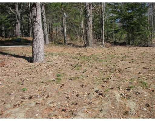 Lot#3 Pattee Pond Road Winslow, ME 04901 - Photo 2 of 11 Land/Lot. 200 feet of road frontage