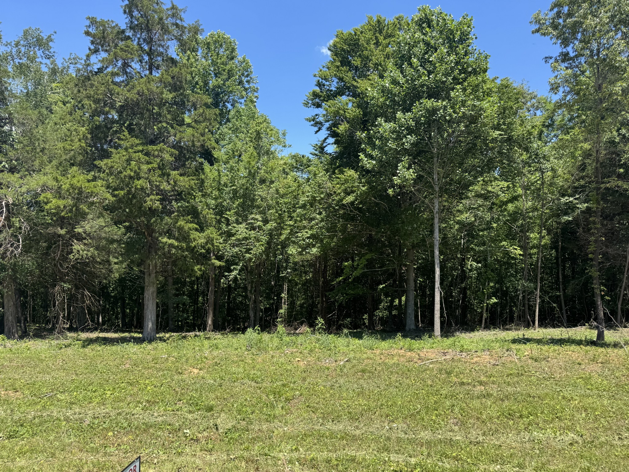 0 Nancy Shawl Road Dickson, TN 37055 - Photo 3 of 5