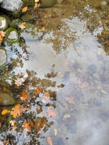 $389,500 | 2667 2 1/4 Street, Cumberland, WI 54829