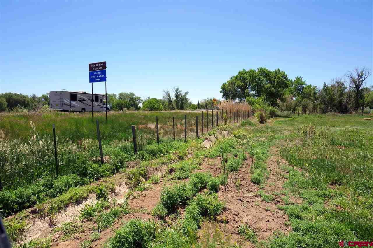 Tbd South Highway 550 & Otter Road Montrose, CO 81401 - Photo 13 of 30 a view of a back yard