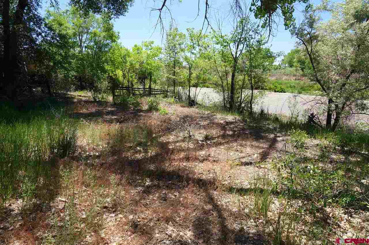 Tbd South Highway 550 & Otter Road Montrose, CO 81401 - Photo 15 of 30 a view of a lake with lots of trees