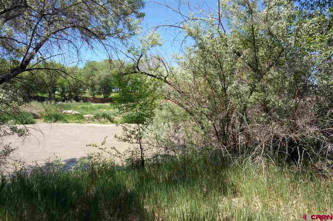 Tbd South Highway 550 & Otter Road Montrose, CO 81401 - Photo 16 of 30 a view of lake from a yard