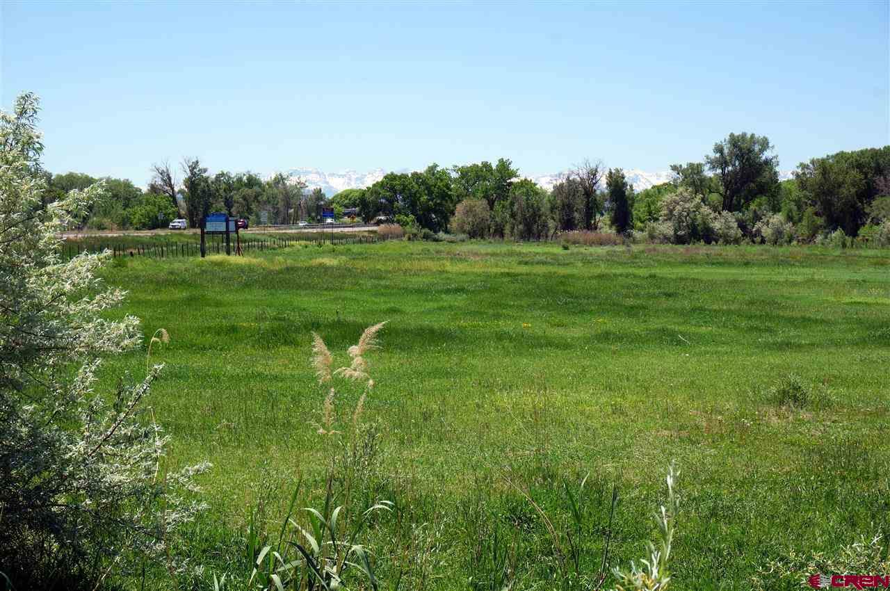 Tbd South Highway 550 & Otter Road Montrose, CO 81401 - Photo 19 of 30 a garden view