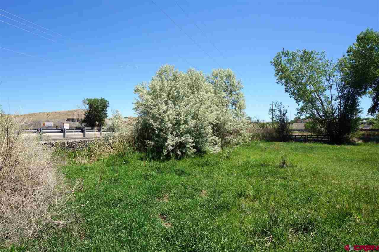 Tbd South Highway 550 & Otter Road Montrose, CO 81401 - Photo 22 of 30 a view of a garden with a building in the background