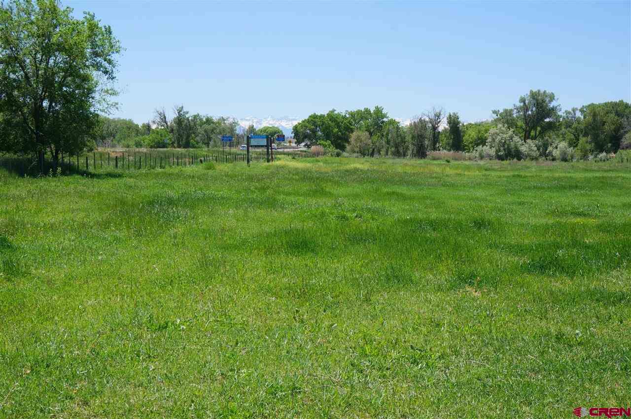 Tbd South Highway 550 & Otter Road Montrose, CO 81401 - Photo 23 of 30 a grassy field with trees in the background