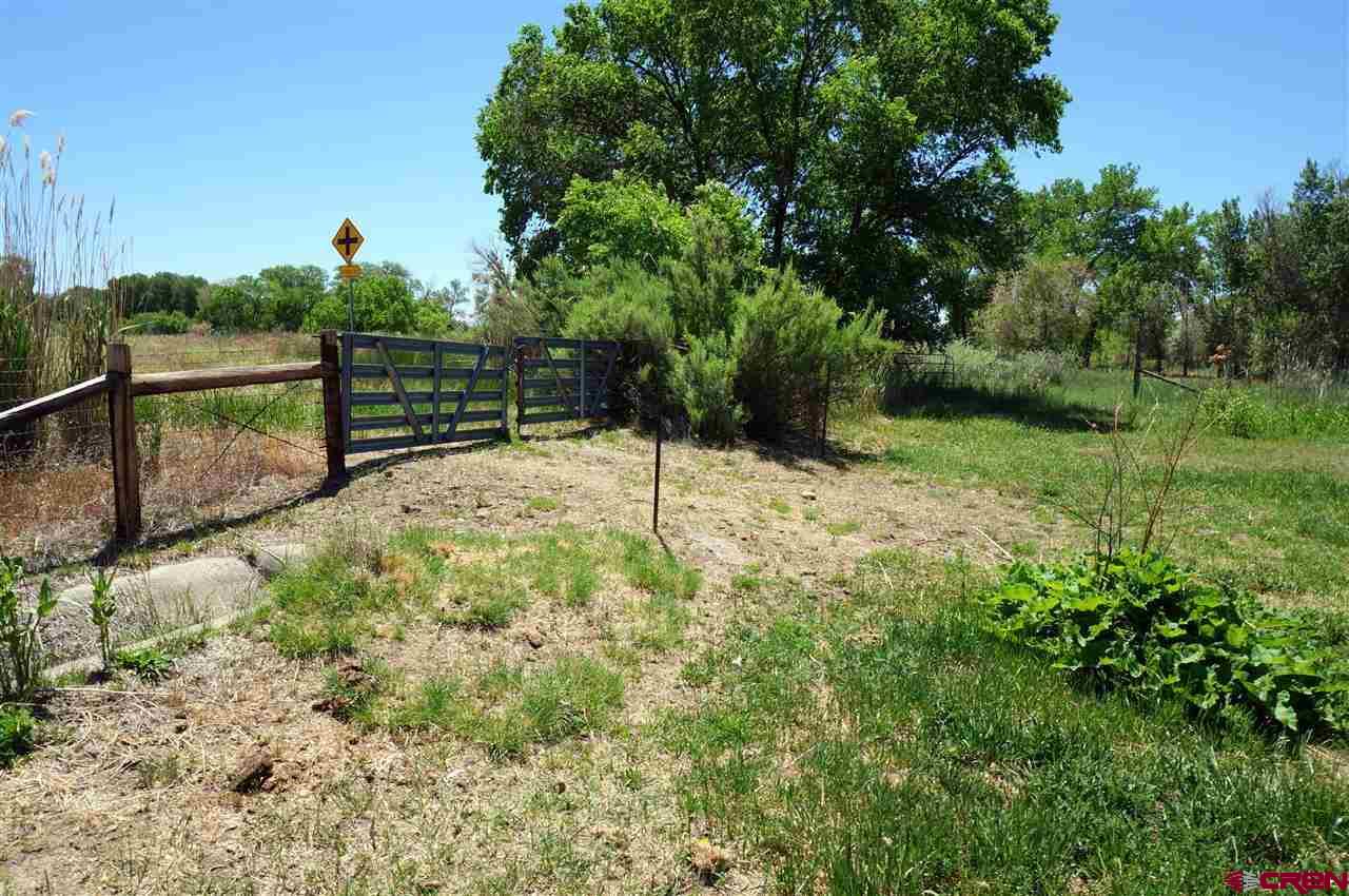 Tbd South Highway 550 & Otter Road Montrose, CO 81401 - Photo 24 of 30 a view of backyard with trees