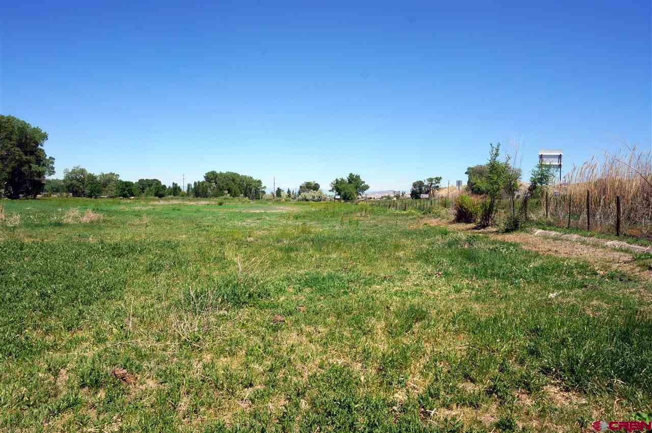 Tbd South Highway 550 & Otter Road Montrose, CO 81401 - Photo 25 of 30 a view of a grassy field with trees
