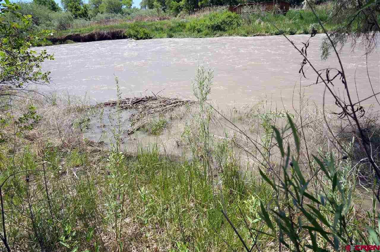 Tbd South Highway 550 & Otter Road Montrose, CO 81401 - Photo 26 of 30 a view of a yard